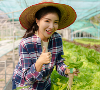 ওয়ার্ক পারমিট ভিসা | বাংলাদেশীদের জন্য ভিসার গুরুত্বপূর্ণ তথ্য 2025