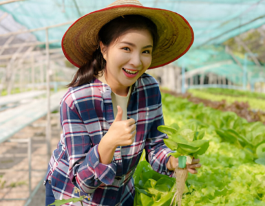 ওয়ার্ক পারমিট ভিসা | বাংলাদেশীদের জন্য ভিসার গুরুত্বপূর্ণ তথ্য 2025