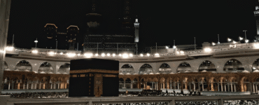 umrah visa check_উমরাহ ভিসা চেক