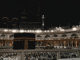 umrah visa check_উমরাহ ভিসা চেক